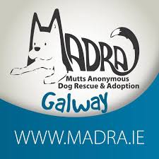 Adopt Don't Shop - May 2020, Featuring MADRA Dog Rescue