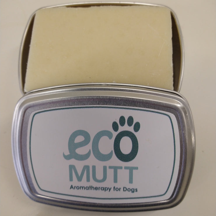 Dog SHAMPOO Bars with SOAP TIN in Gift Bag - Mixed Aromas
